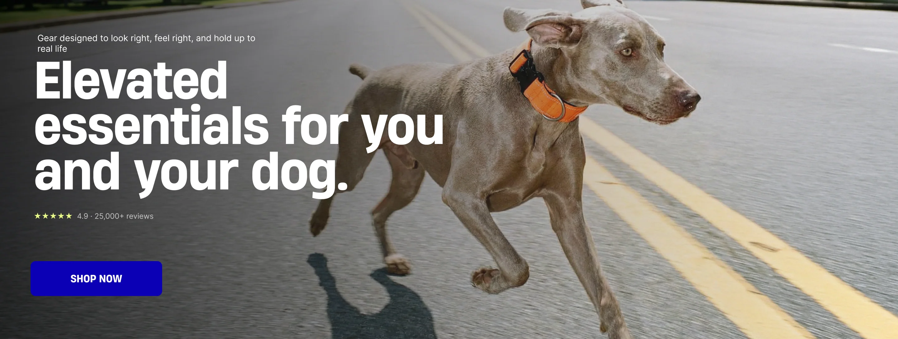 Gear Built for Every Tail