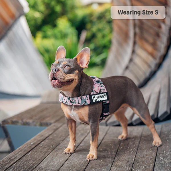 Product image 53
