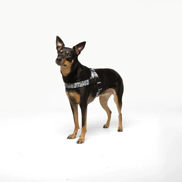 Product image 57