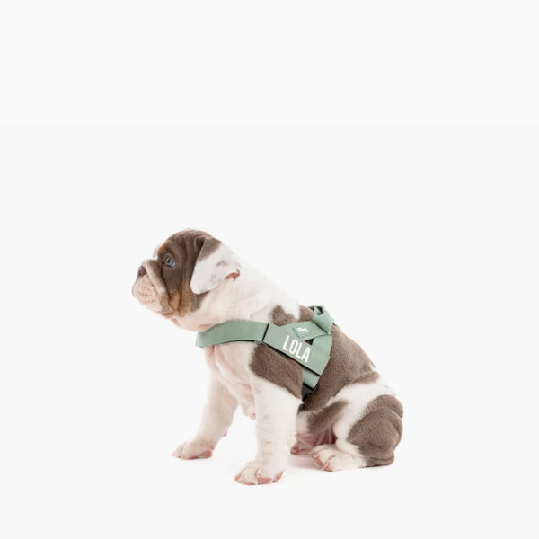 Product image 69